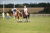 UKPA  NC Sat_1473